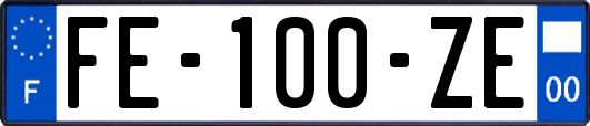 FE-100-ZE