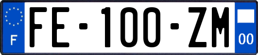 FE-100-ZM