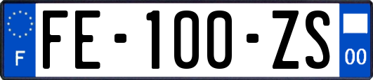 FE-100-ZS