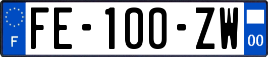 FE-100-ZW