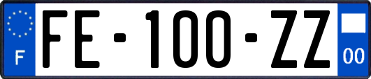 FE-100-ZZ