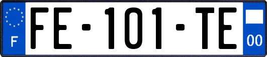 FE-101-TE