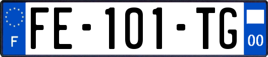 FE-101-TG