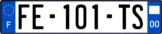 FE-101-TS