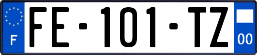 FE-101-TZ