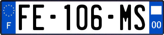 FE-106-MS