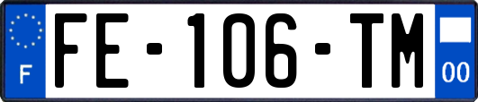 FE-106-TM