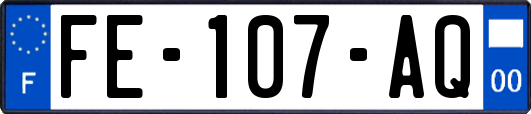 FE-107-AQ