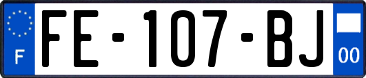 FE-107-BJ