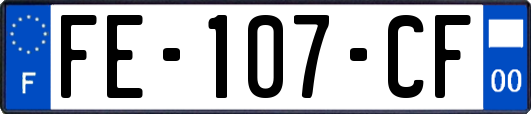 FE-107-CF
