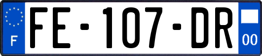 FE-107-DR
