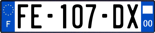 FE-107-DX