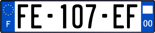 FE-107-EF