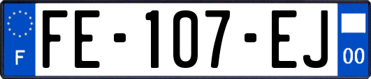FE-107-EJ