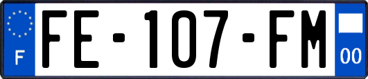 FE-107-FM