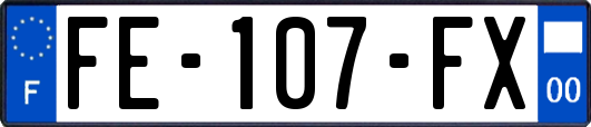 FE-107-FX
