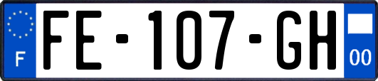 FE-107-GH