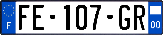FE-107-GR