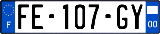 FE-107-GY