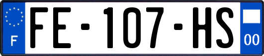 FE-107-HS