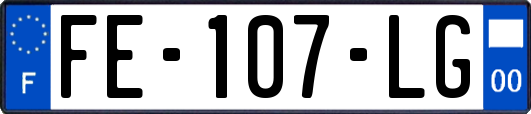FE-107-LG
