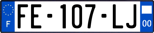 FE-107-LJ