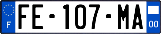 FE-107-MA