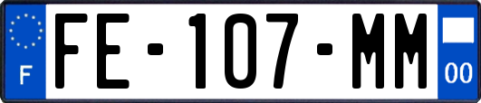 FE-107-MM