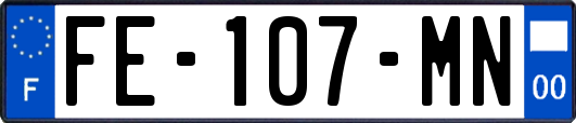 FE-107-MN