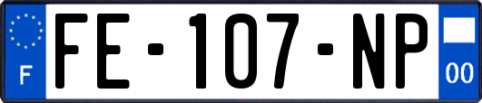 FE-107-NP