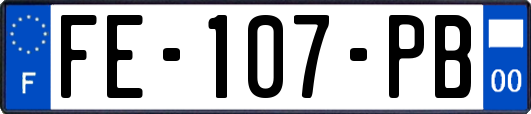 FE-107-PB