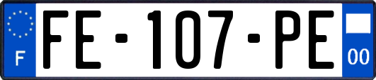 FE-107-PE