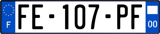 FE-107-PF