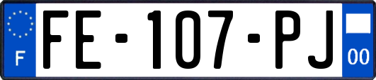 FE-107-PJ
