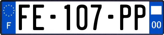 FE-107-PP