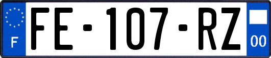 FE-107-RZ