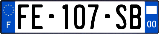 FE-107-SB