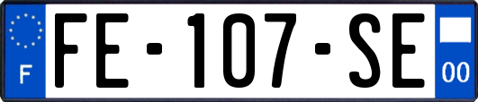 FE-107-SE