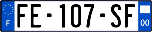 FE-107-SF