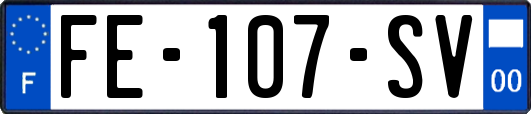 FE-107-SV