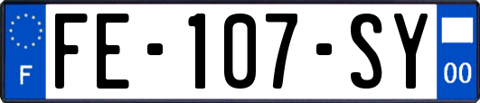 FE-107-SY