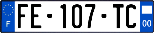 FE-107-TC