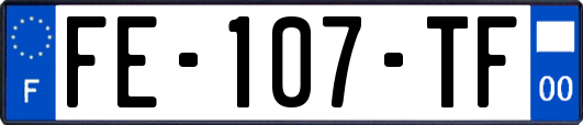 FE-107-TF