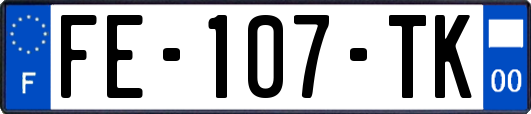FE-107-TK