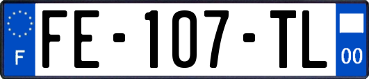 FE-107-TL