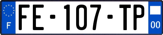 FE-107-TP