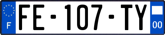 FE-107-TY