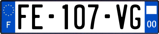 FE-107-VG