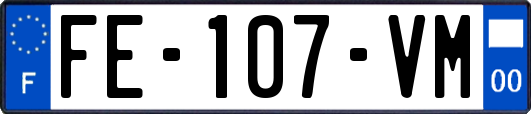 FE-107-VM