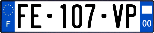 FE-107-VP